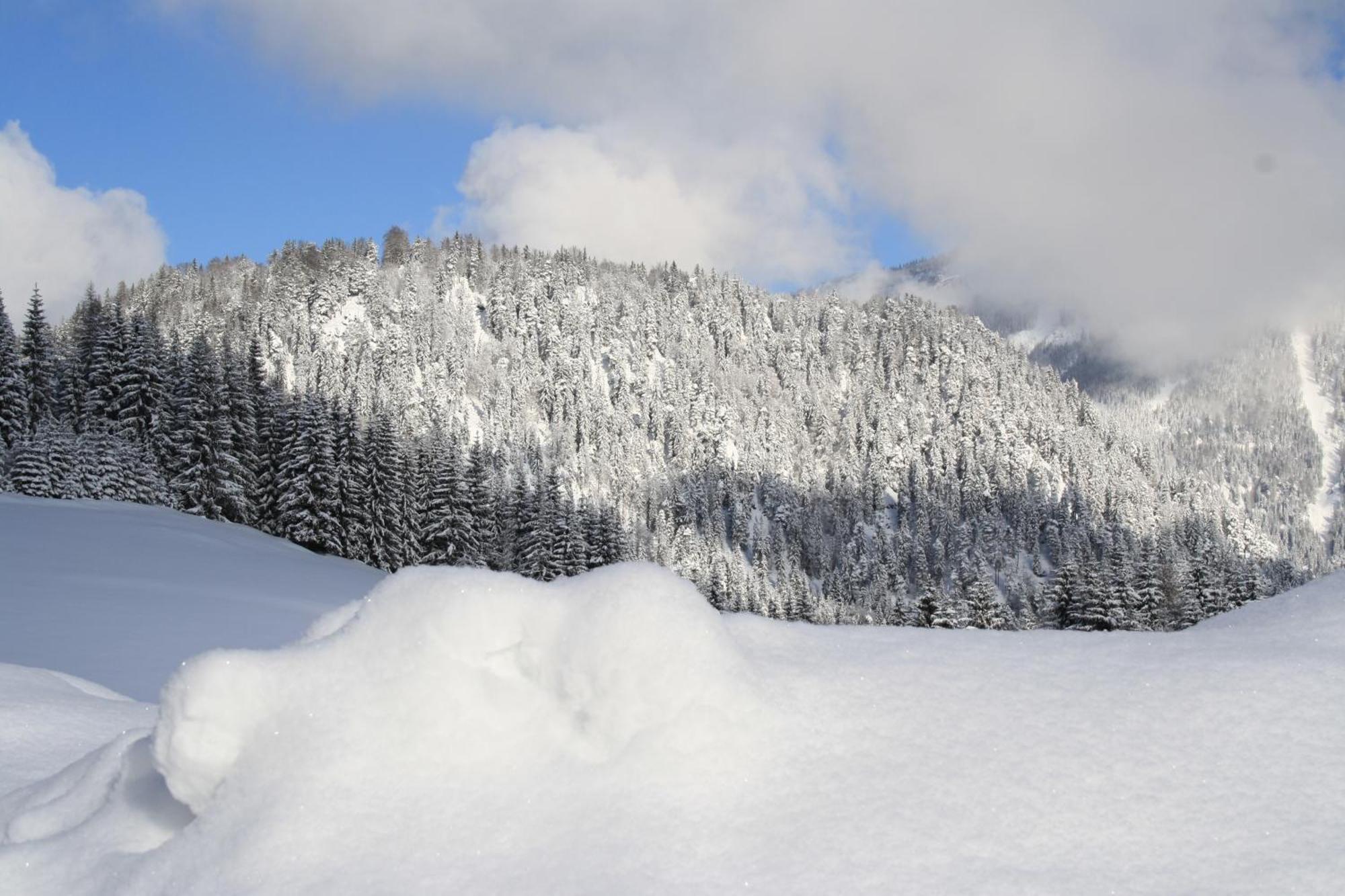 Alpengasthof Oberweissbach Waidring Εξωτερικό φωτογραφία