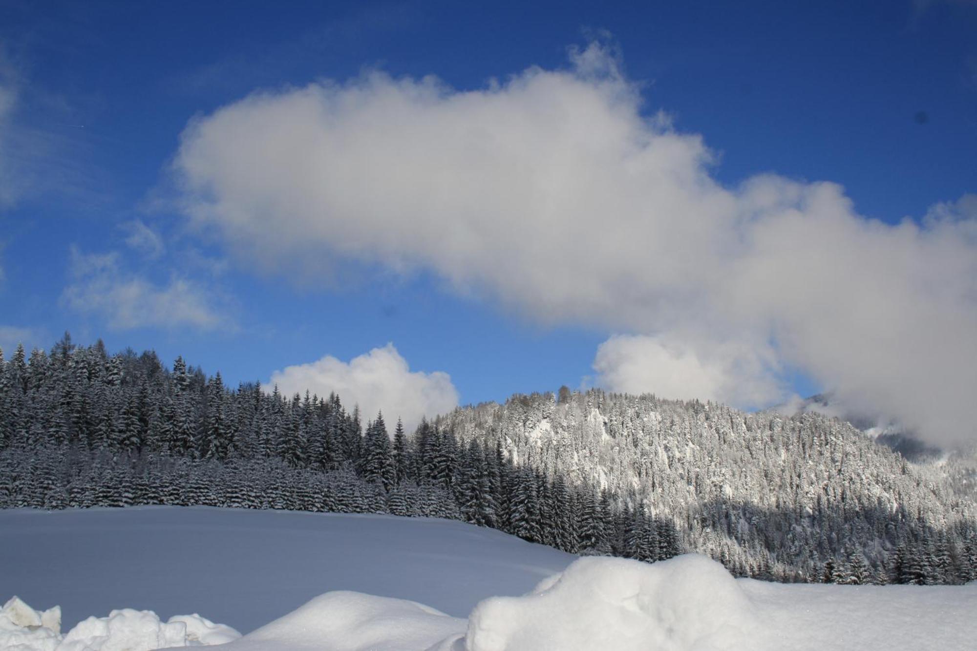 Alpengasthof Oberweissbach Waidring Εξωτερικό φωτογραφία